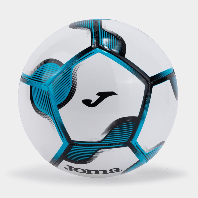CHALLENGE IV BALL WHITE BLUE